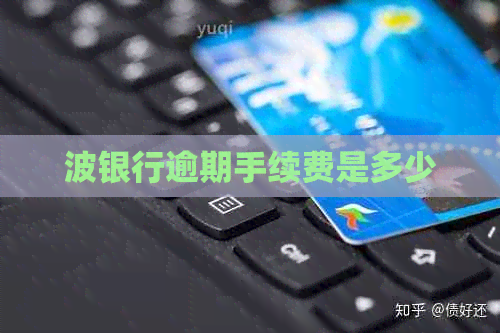 波银行逾期手续费是多少
