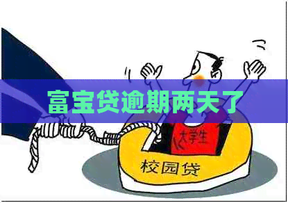 富宝贷逾期两天了