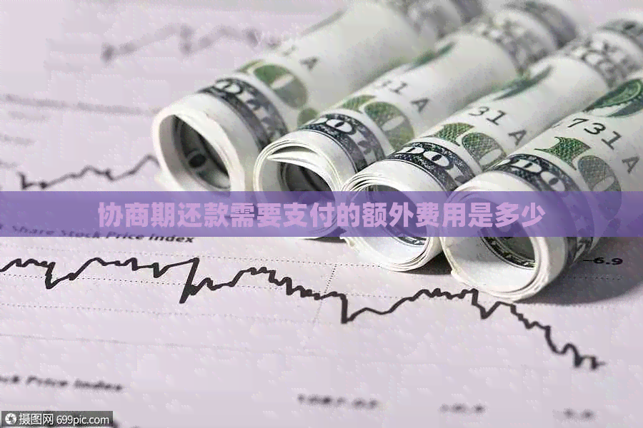 协商期还款需要支付的额外费用是多少