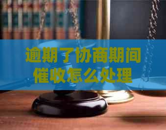 逾期了协商期间怎么处理