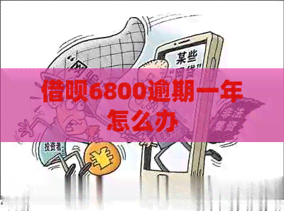 网贷6800逾期一年怎么办