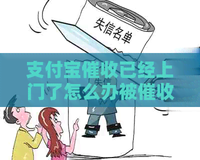 支付宝已经上门了怎么办被怎么办