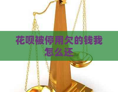 信用卡被停用欠的钱我怎么还