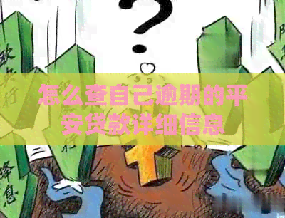 怎么查自己逾期的平安贷款详细信息