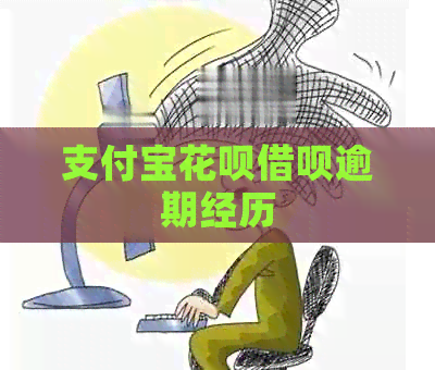 支付宝花呗借呗逾期经历