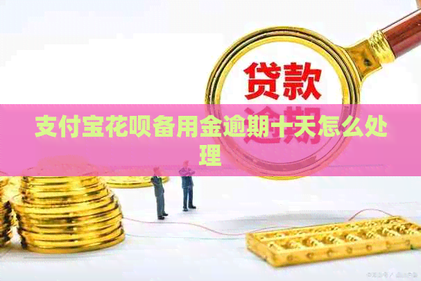 支付宝花呗备用金逾期十天怎么处理