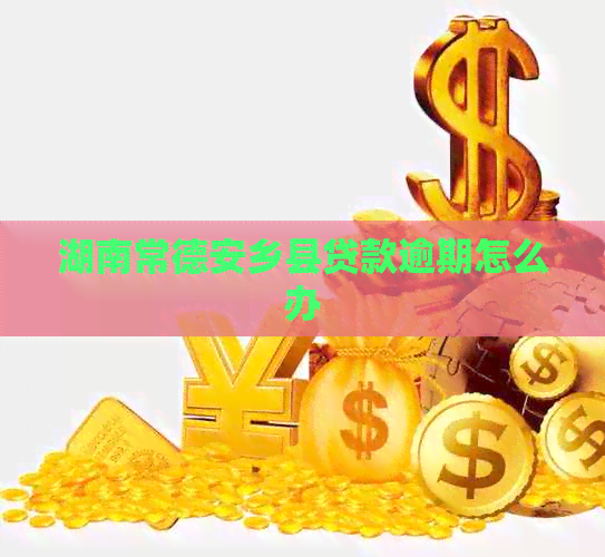 湖南常德安乡县贷款逾期怎么办