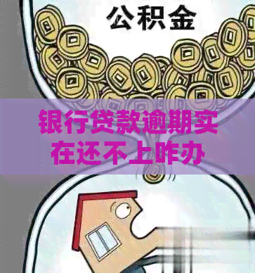 银行贷款逾期实在还不上咋办