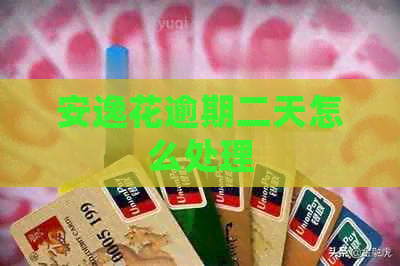 安逸花逾期二天怎么处理