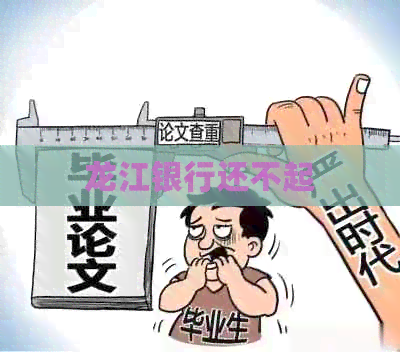 龙江银行还不起