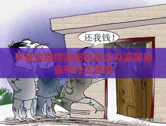平安金融借款逾期怎么办逾期后会有什么影响