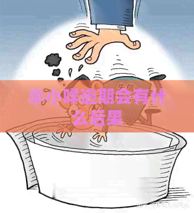 羊小咩逾期会有什么后果