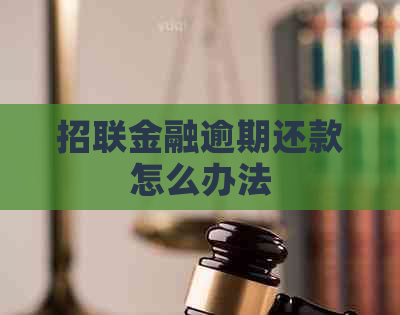 招联金融逾期还款怎么办法