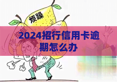 2024招行信用卡逾期怎么办