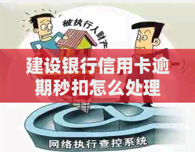 建设银行信用卡逾期秒扣怎么处理