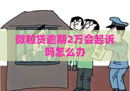 微粒贷逾期2万会起诉吗怎么办