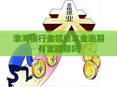 渤海银行金领贷本金逾期有宽限期吗