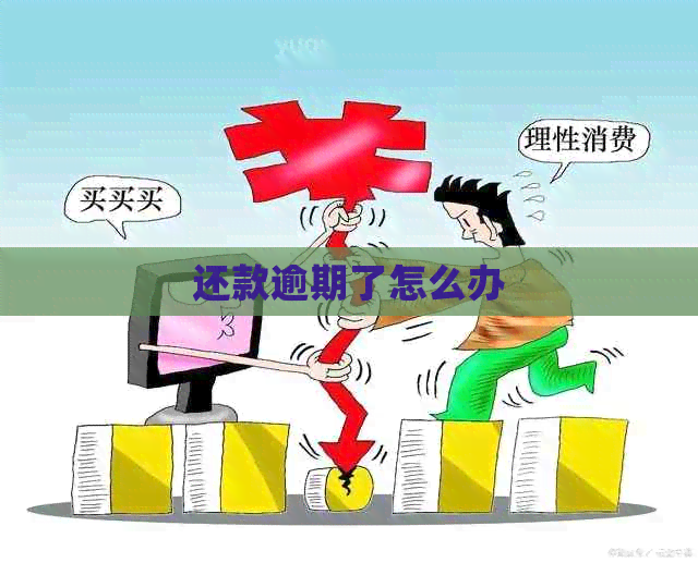 还款逾期了怎么办