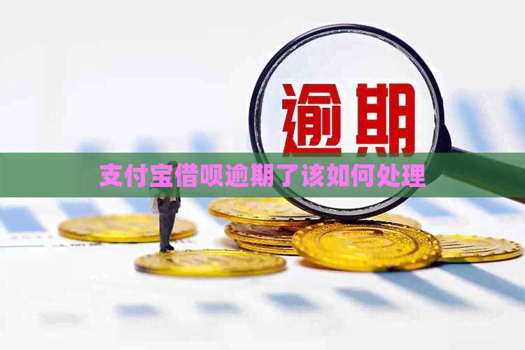 支付宝借呗逾期了该如何处理