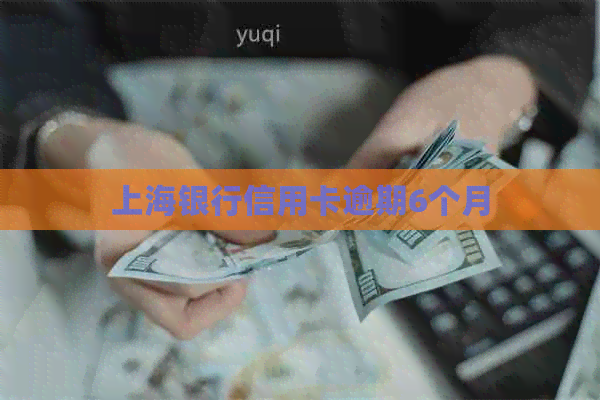 上海银行信用卡逾期6个月