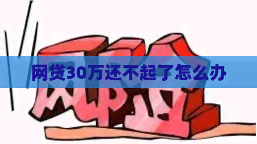 网贷30万还不起了怎么办