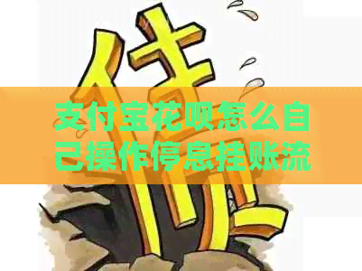 支付宝花呗怎么自己操作停息挂账流程
