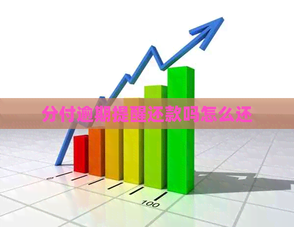 分付逾期提醒还款吗怎么还