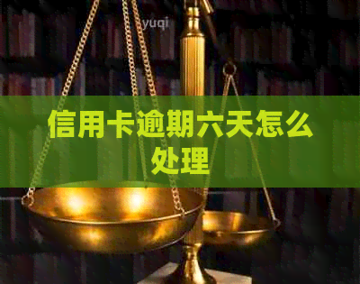 信用卡逾期六天怎么处理
