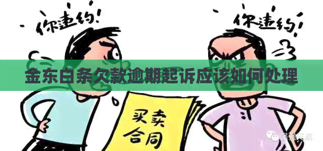 金东白条欠款逾期起诉应该如何处理