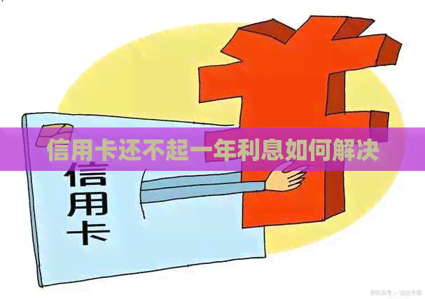 信用卡还不起一年利息如何解决