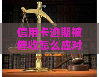 信用卡逾期被怎么应对及应对措分享