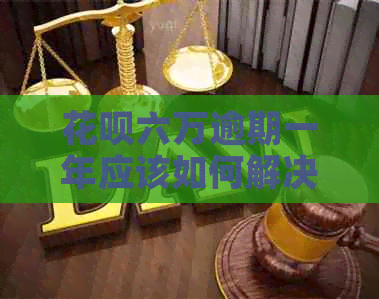 花呗六万逾期一年应该如何解决