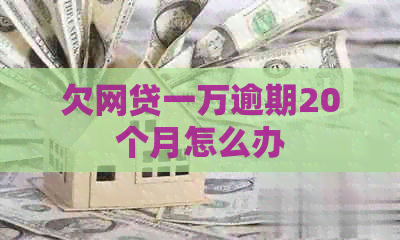 欠网贷一万逾期20个月怎么办
