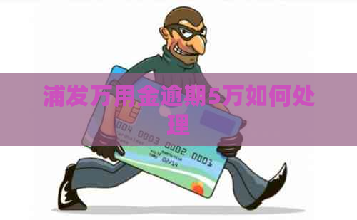 浦发万用金逾期5万如何处理