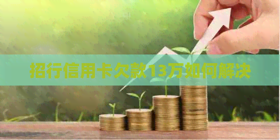 招行信用卡欠款13万如何解决