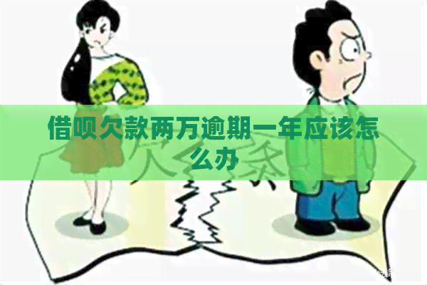 借呗欠款两万逾期一年应该怎么办