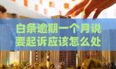 白条逾期一个月说要起诉应该怎么处理