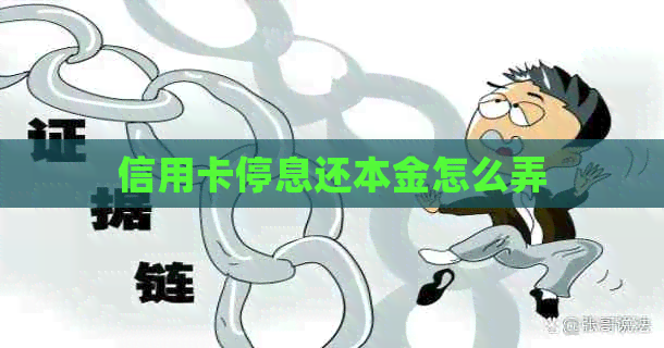 信用卡停息还本金怎么弄