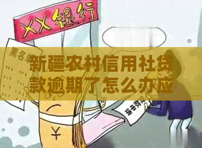 新疆农村信用社贷款逾期了怎么办应该怎么解决
