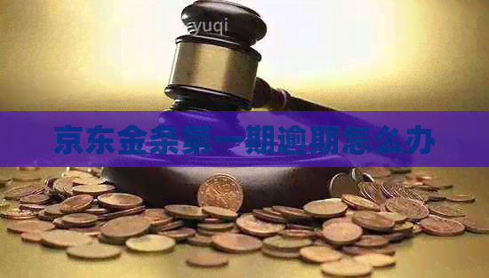 京东金条之一期逾期怎么办