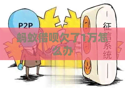 蚂蚁借呗欠了1万怎么办