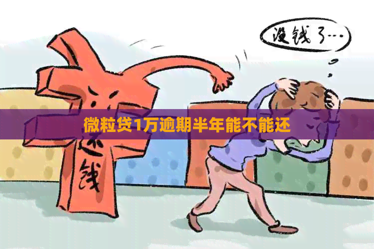 微粒贷1万逾期半年能不能还