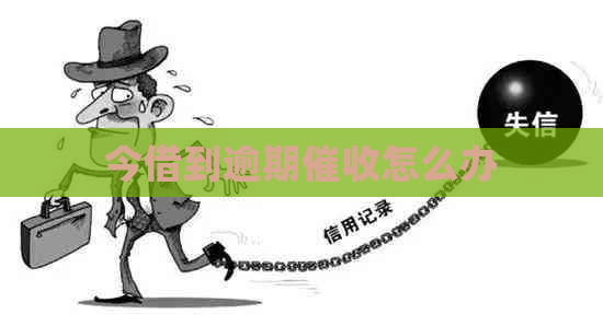 今借到逾期怎么办