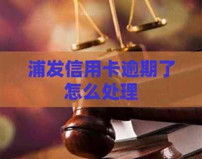 浦发信用卡逾期了怎么处理