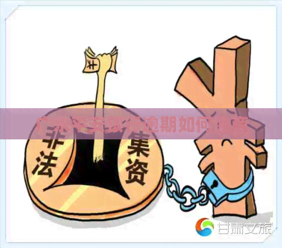 广东平安银行逾期如何协商