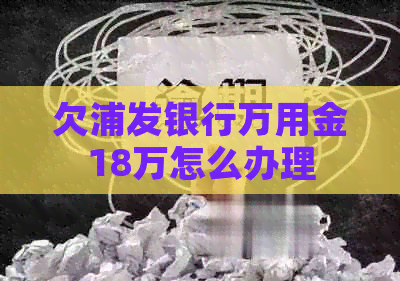 欠浦发银行万用金18万怎么办理
