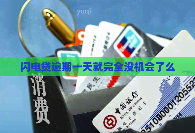 闪电贷逾期一天就完全没机会了么