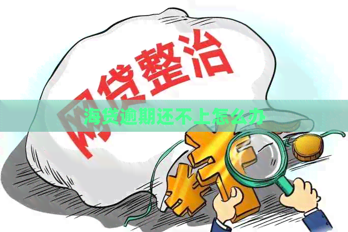 海贷逾期还不上怎么办