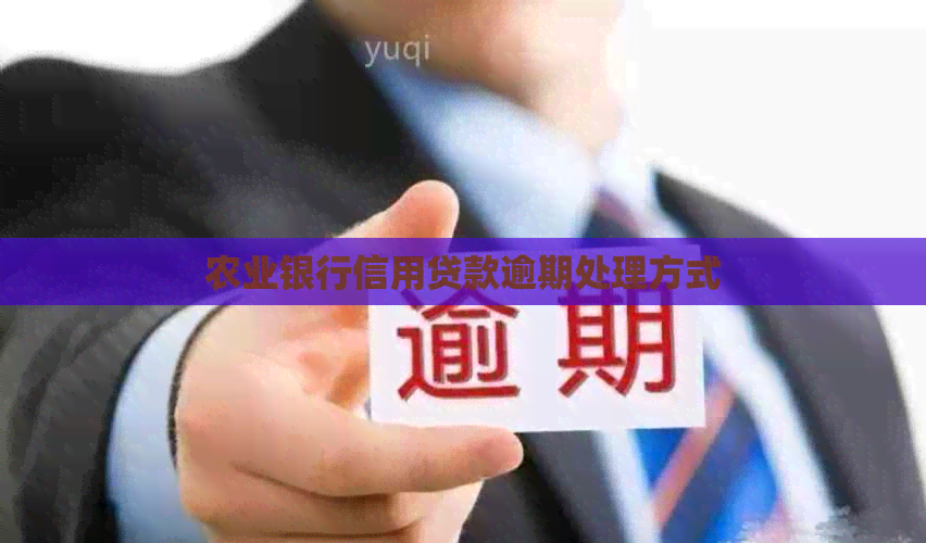 农业银行信用贷款逾期处理方式