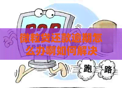 微粒贷还款逾期怎么办啊如何解决